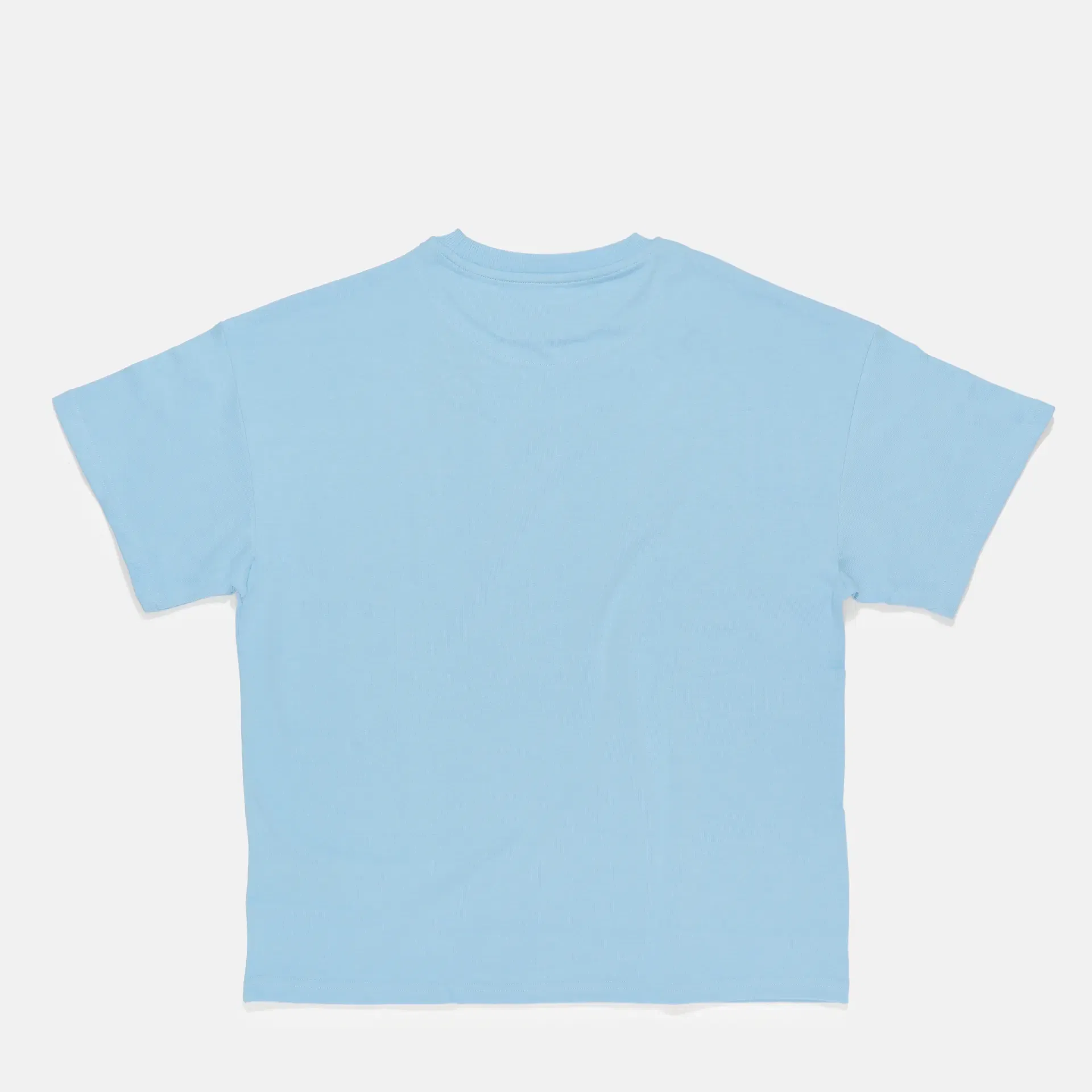 Karl Kani Small Signature Boxy T-Shirt Light Blue