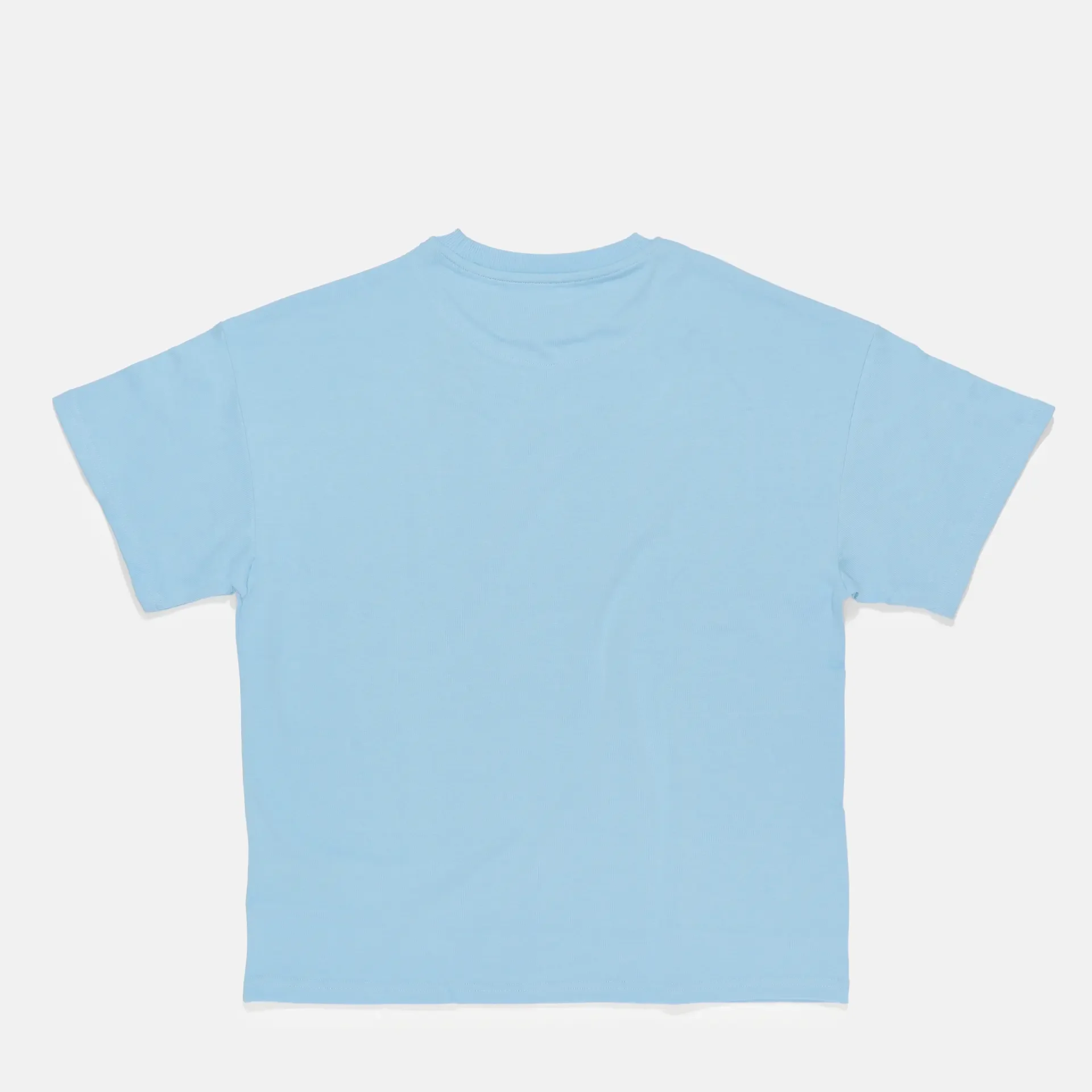 Karl Kani Small Signature Boxy T-Shirt Light Blue