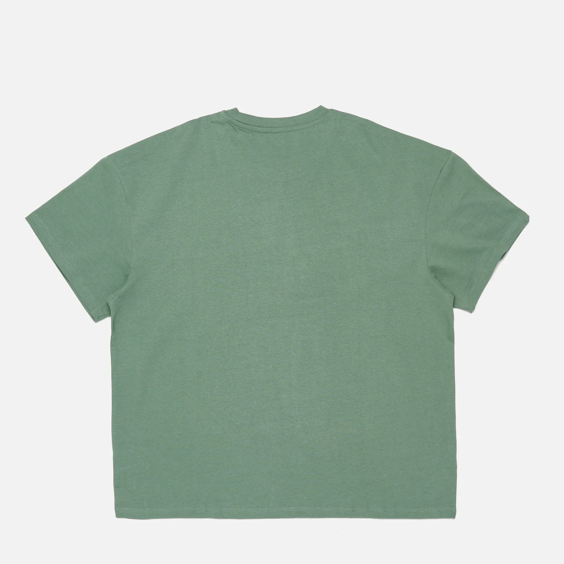 Karl Kani Small Signature Heavy Jersey Boxy T-Shirt Dusty Green