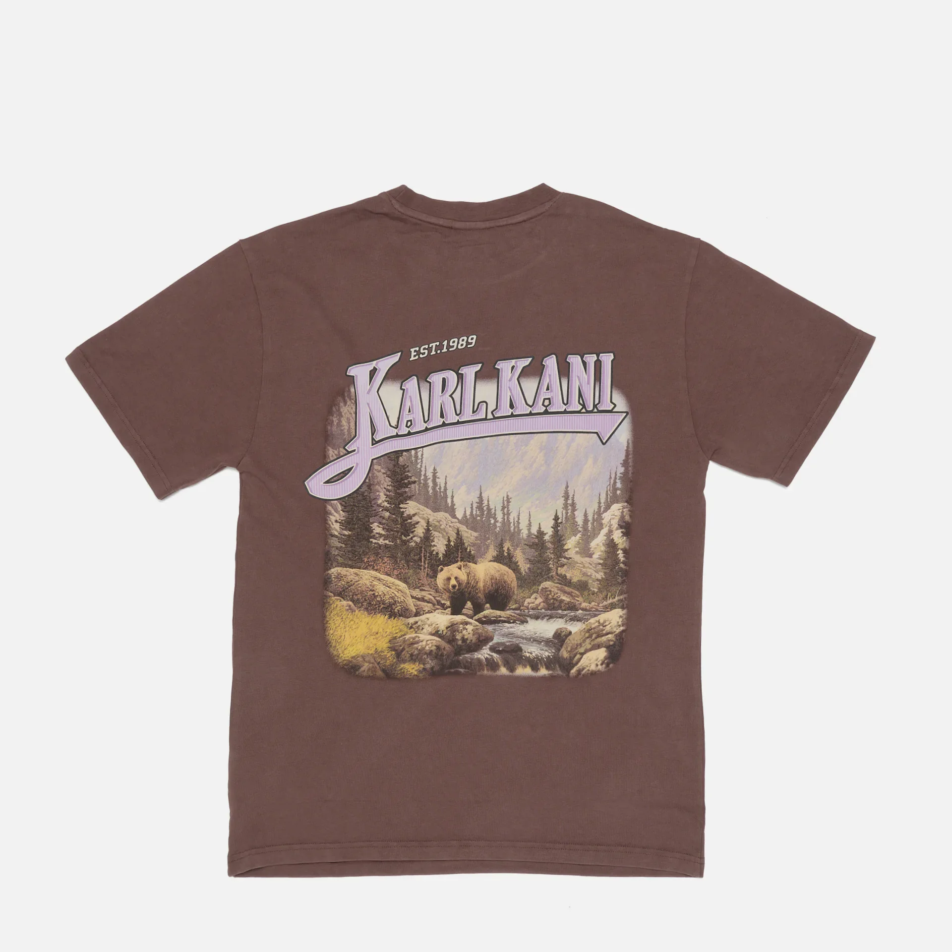 Karl Kani Small Signature Washed Heavy Jersey Landscape Tee Brown