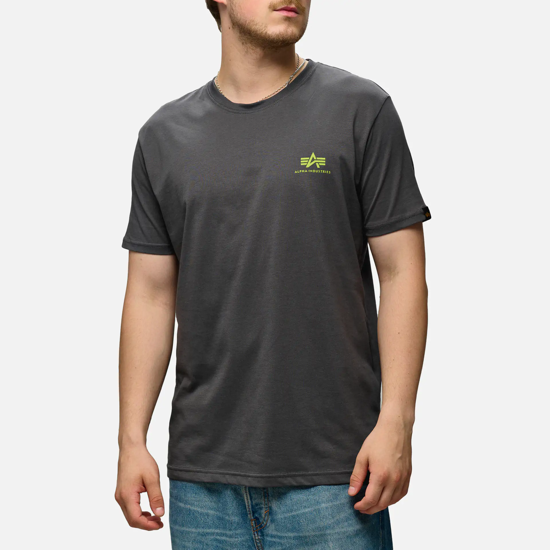 Alpha Industries Backprint T-Shirt Vintage Grey