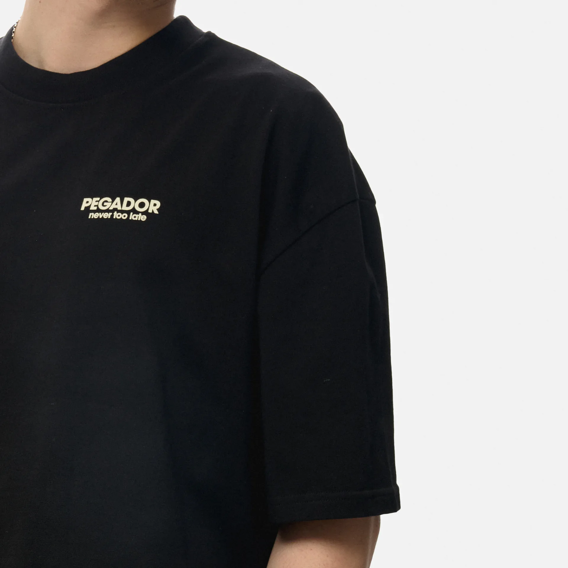 PEGADOR Alchar Oversized T-Shirt Washed Black